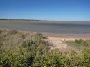 Ambiance Camargue à l'étang de l'Arnel
